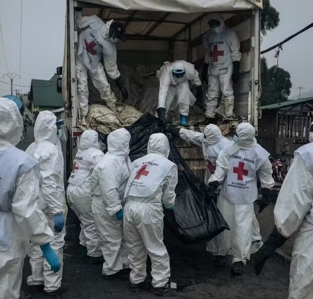 24f0c818 f5e2 4385 b3f2 d7b2b85bc2af