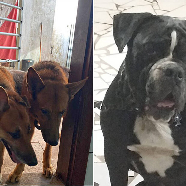 d4b83d80 8cab 4a18 93ac ab2d7dae826e