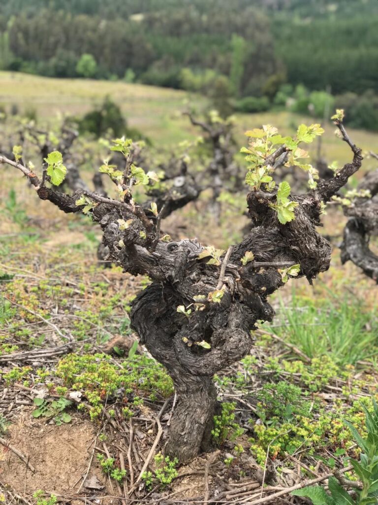 689e3a02 3910 4dc8 a2fd 890b9fdb0370