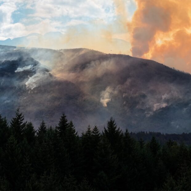 argentina environment wildfire