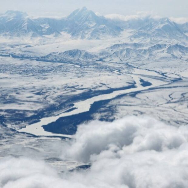 whatsapp image 2025 02 07 at 06.33.07