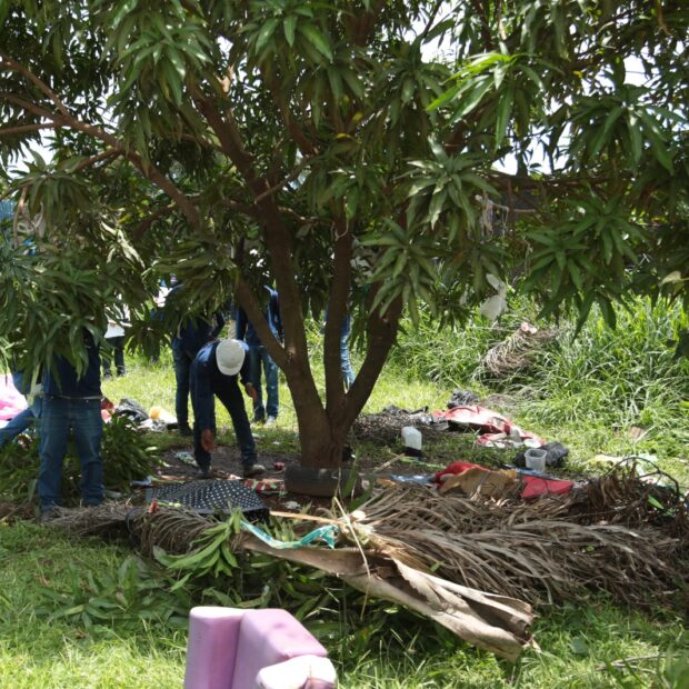 whatsapp image 2025 02 07 at 13.04.20