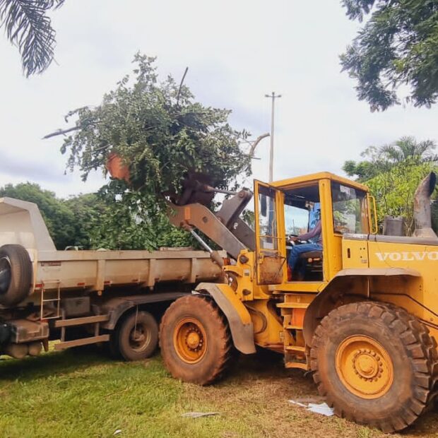 whatsapp image 2025 02 07 at 11.47.57