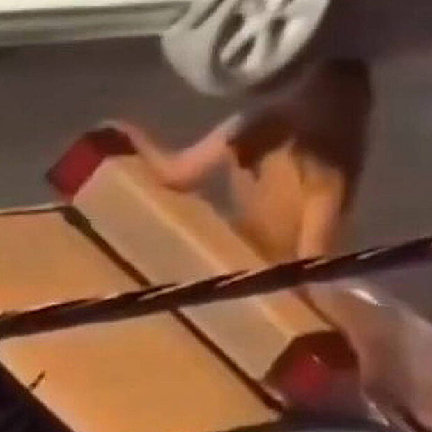 3ae55710 06ce 4a86 9505 576eecab3632