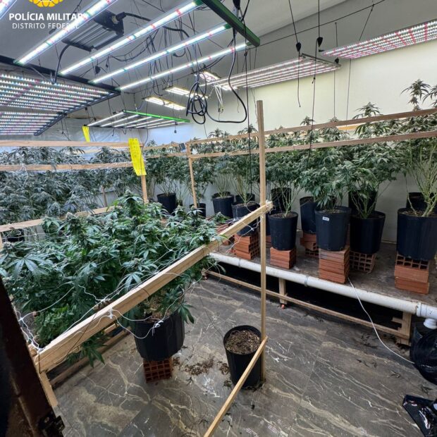 whatsapp image 2025 02 08 at 06.35.22