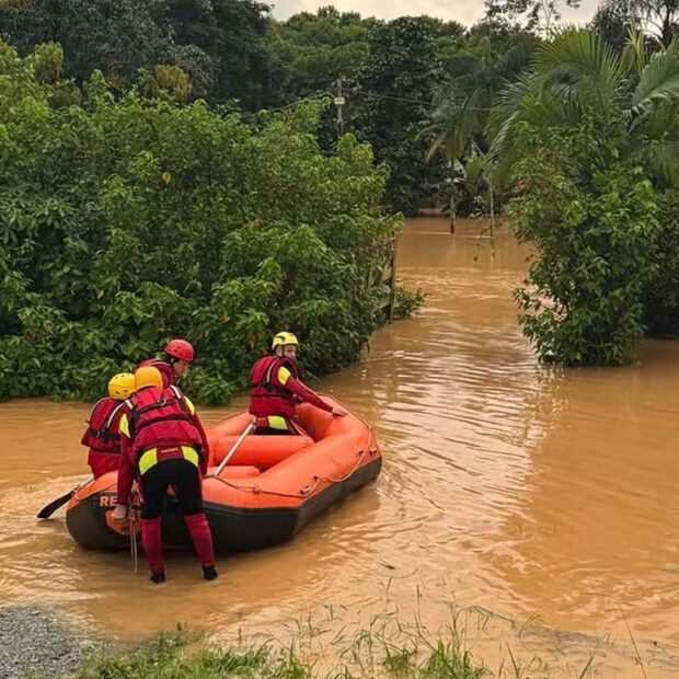 whatsapp image 2025 02 08 at 12.11.17