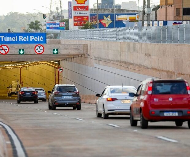 10.2. conselho de transito. foto divulgacao detran df2 768x512 tunel rei pele