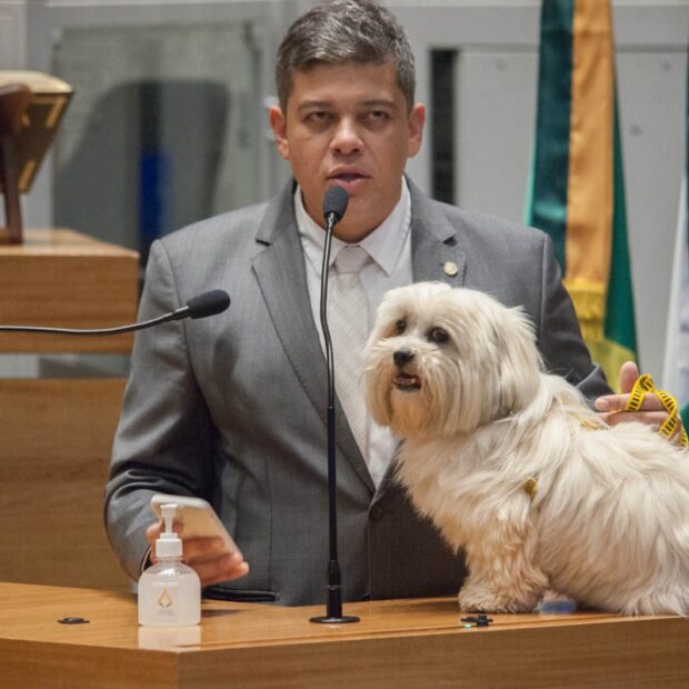 donizet pets cachorro