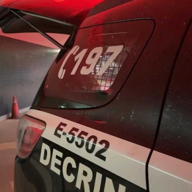 photo 2025 02 11 11 12 59