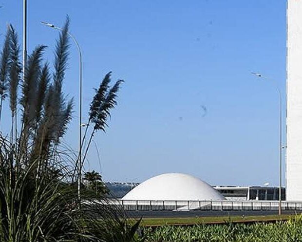 senado