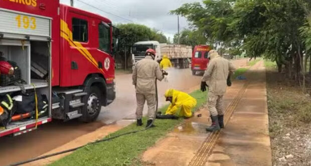 captura de tela 2025 02 12 064518