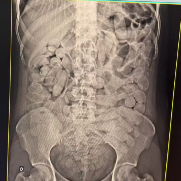 captura de tela 2025 02 12 064926