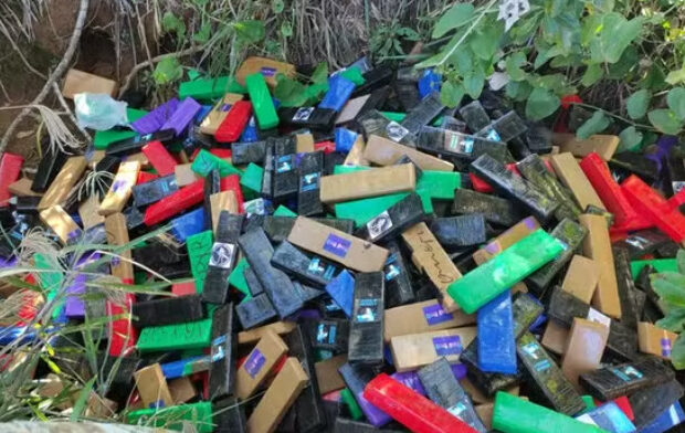 captura de tela 2025 02 12 065358