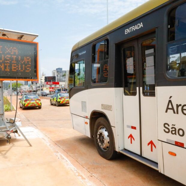 onibus faixa rei pele