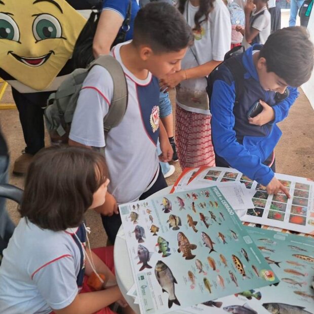 brasilia ambiental