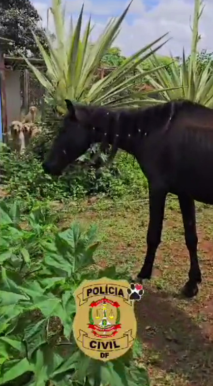 captura de tela 2025 02 13 095125