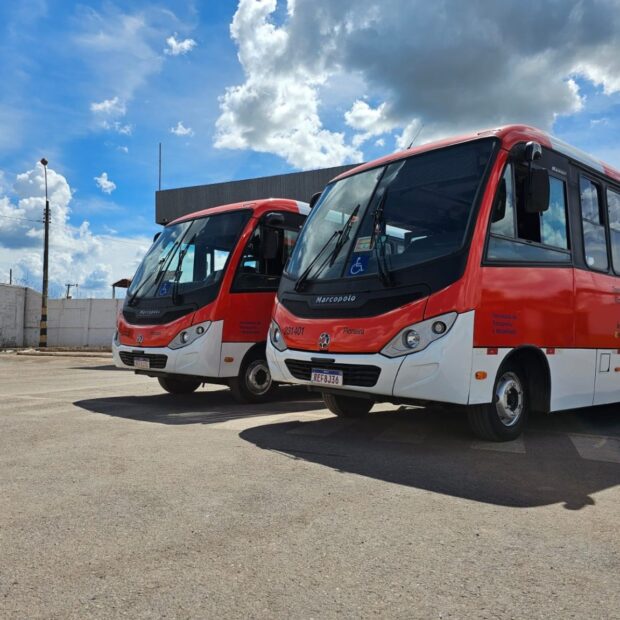 13.2. zebrinhas de s sebastiao. foto divulgacao semob df 1536x1152