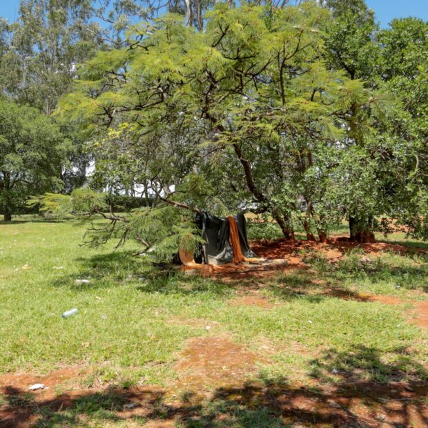 foto agência brasília