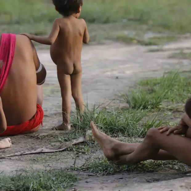 comunidades indígenas