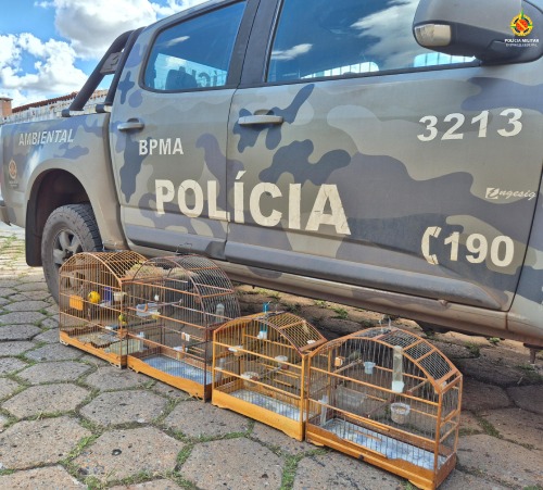imagem do whatsapp de 2025 02 17 à(s) 20.48.12 231d96ea