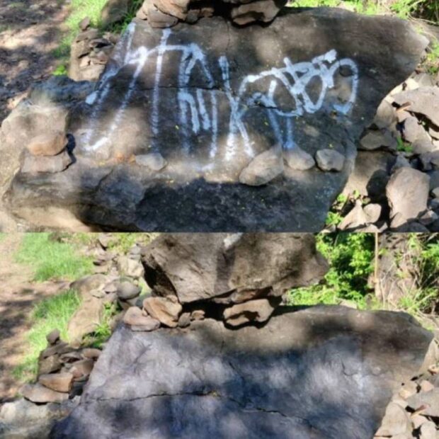 whatsapp image 2025 02 18 at 06.41.46