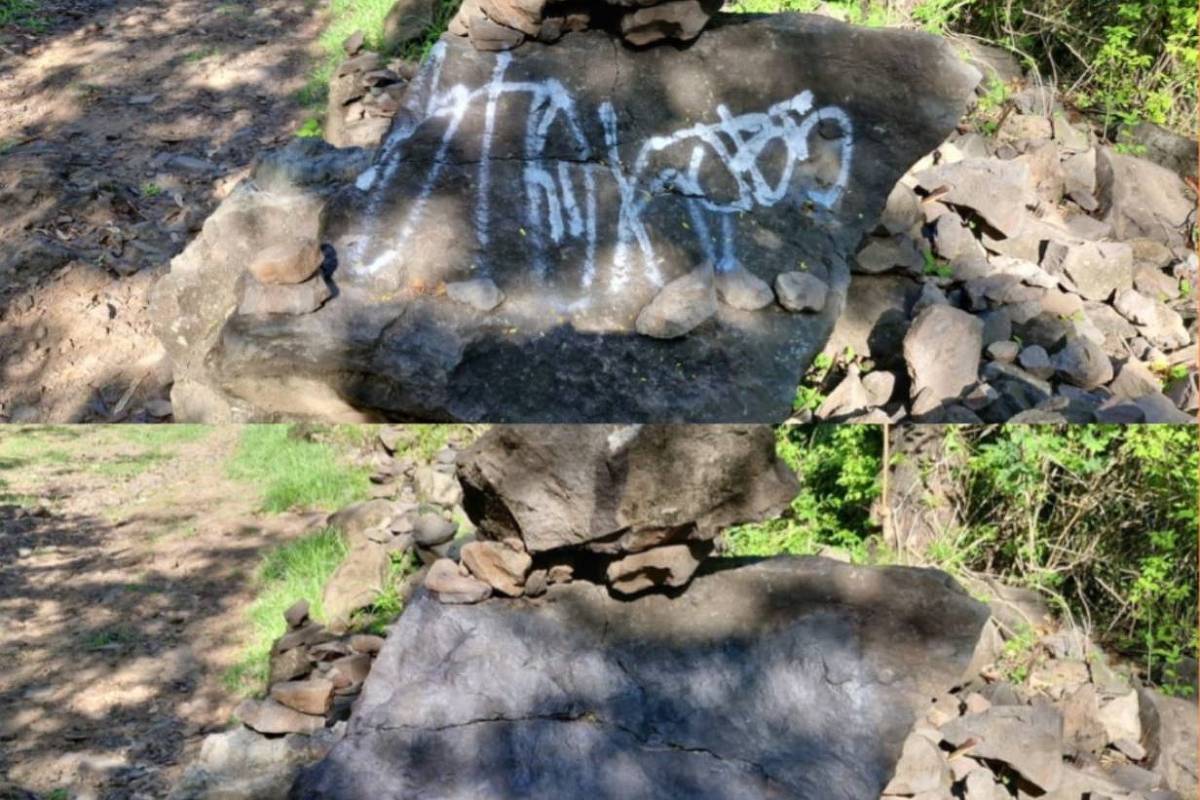 whatsapp image 2025 02 18 at 06.41.46