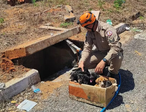 captura de tela 2025 02 18 070808