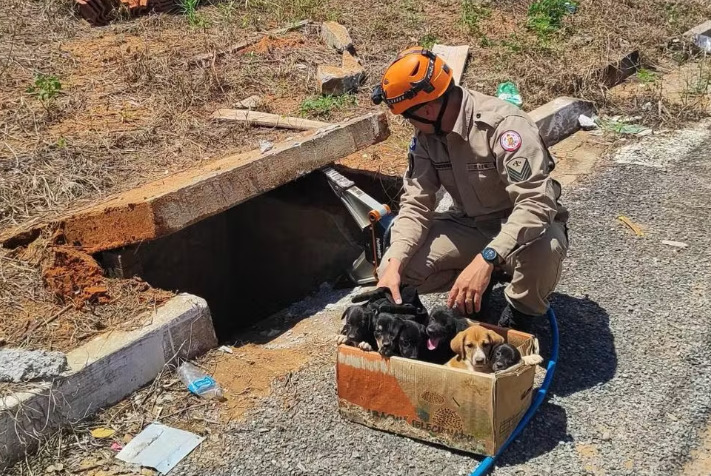 captura de tela 2025 02 18 070808