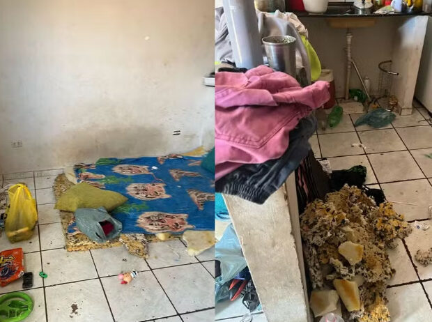 captura de tela 2025 02 18 071227 1