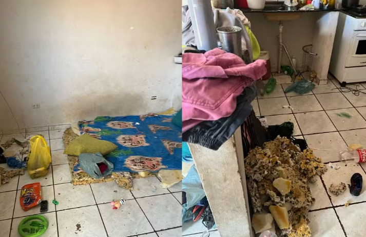 captura de tela 2025 02 18 071227 1