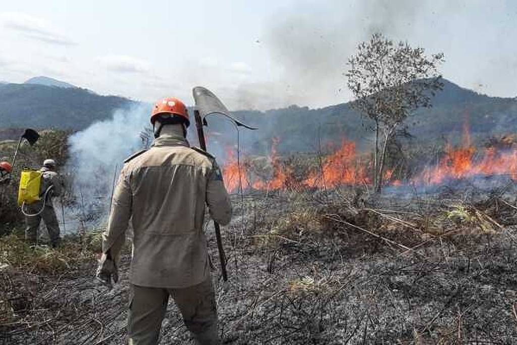 b1153578 00b0 4567 b5c7 436828e2ce05