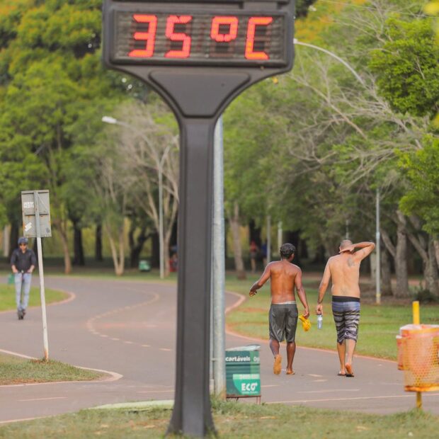 calor df