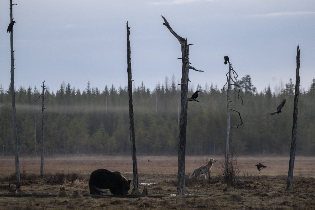 dossier une semaine avant la cop16 biodiversité