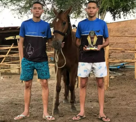 captura de tela 2025 02 19 103942