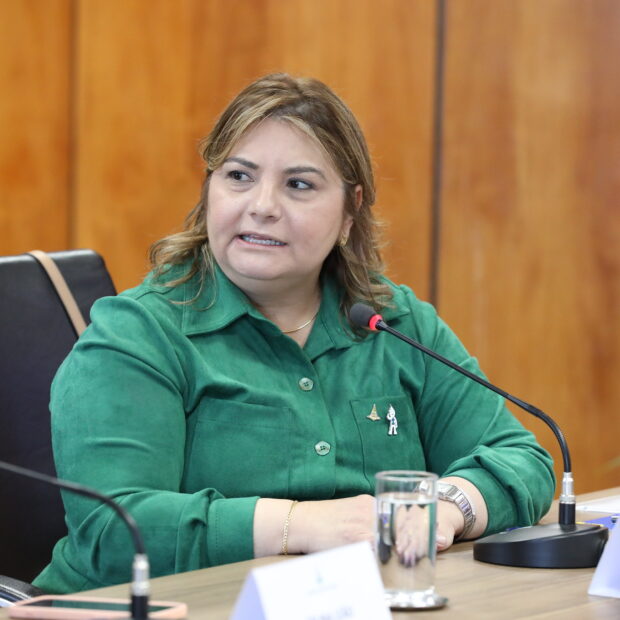 secretária de Saúde (SES) – Lucilene Maria Florêncio de Queiroz. .Foto: Paulo H Carvalho/Agência Brasília