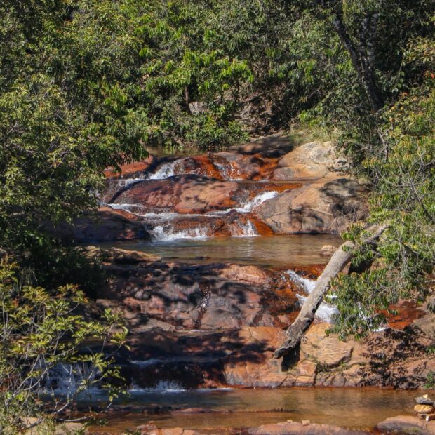 whatsapp image 2025 02 21 at 11.03.31