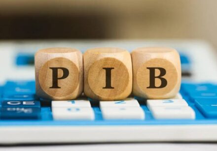 pib (1)