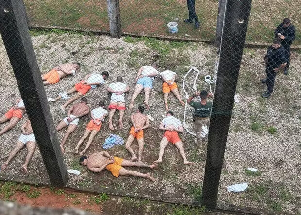 whatsapp image 2025 02 23 at 12.00.31 1