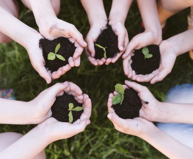 kids holding their hands clover 768x512 1
