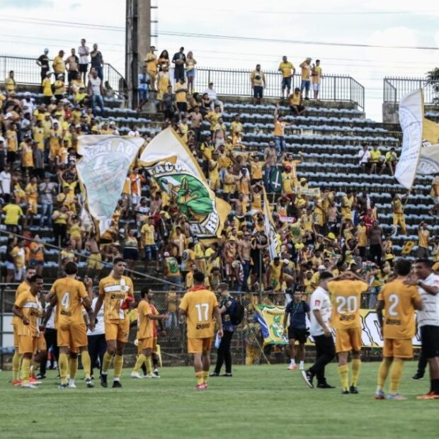 brasiliense
