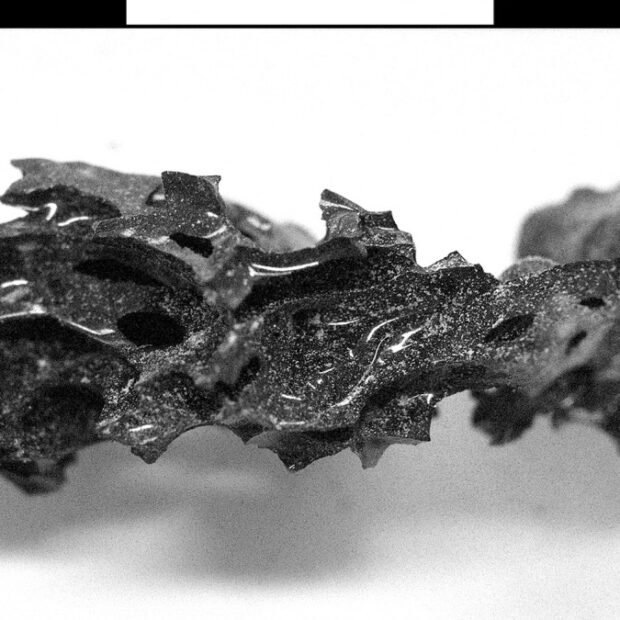 files italy science archaeology