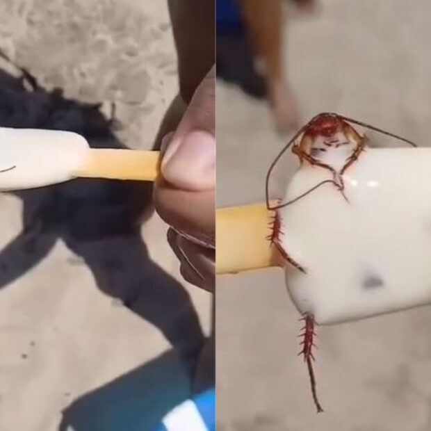 O inseto aparentemente estava preso entre o palito e o sorvete