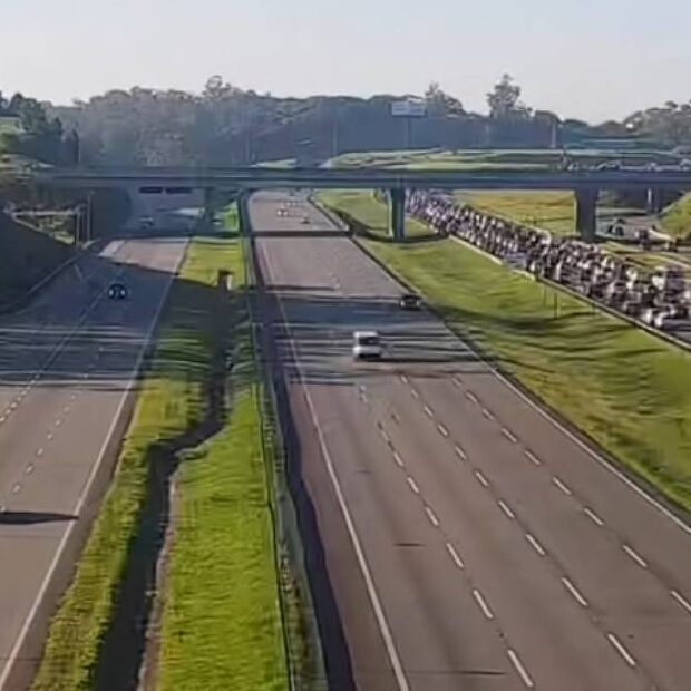 trânsito sp carnaval