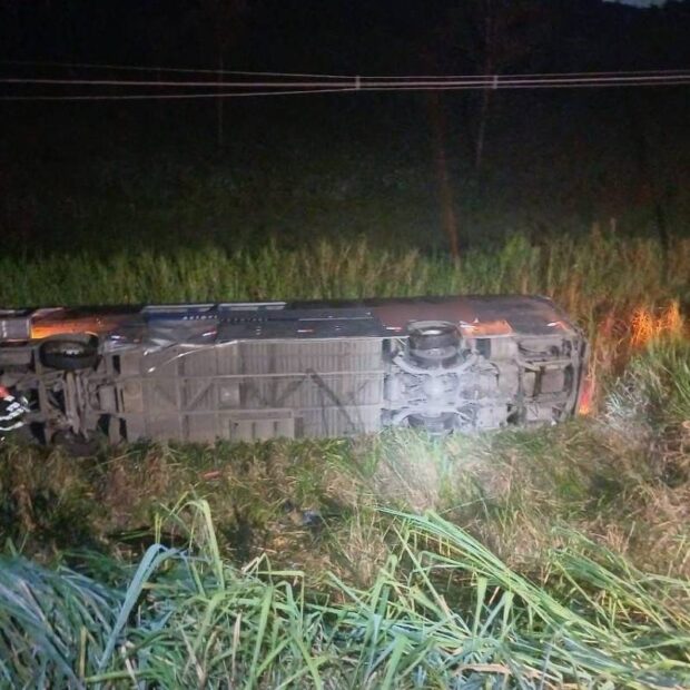 whatsapp image 2025 03 06 at 06.59.18