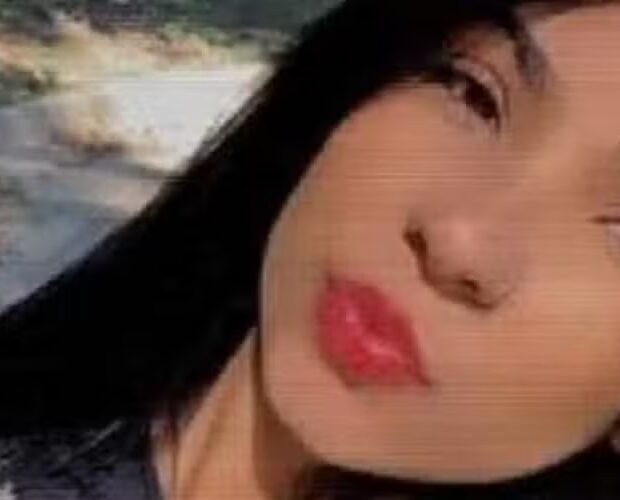 site template grade de fotos 2025 03 05t191533.288