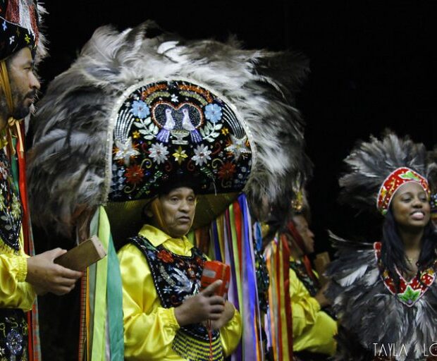 boi seu teodoro 768x512