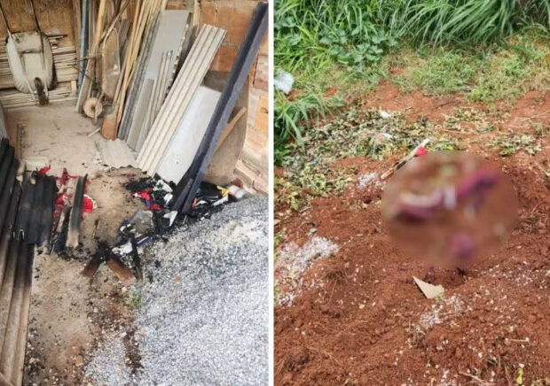 captura de tela 2025 03 07 101137 (1)