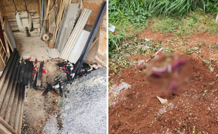 captura de tela 2025 03 07 101137 (1)