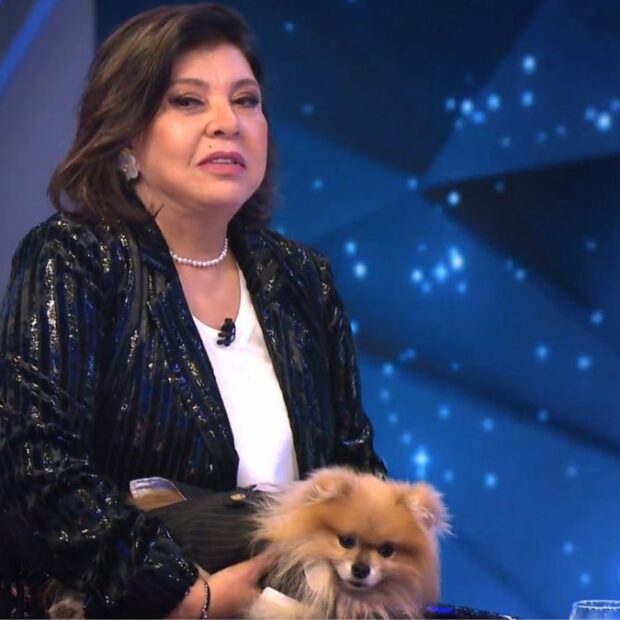 A sertaneja revelou que a presença do cãozinho foi crucial para a produção da autobiografia