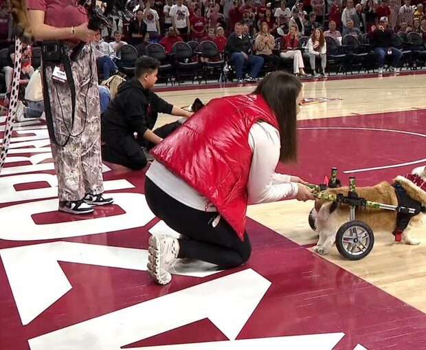 7dowpuoabs0aj5msa2n5pv71b